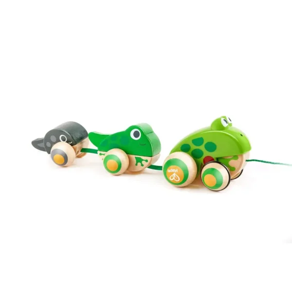 Hape Pull Along Frog Family