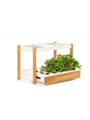 Click & Grow Click and Grow 25 - White (Salad Greens 54x pack)