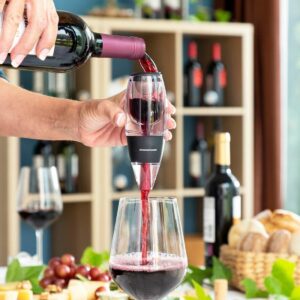 Elegant vinlufter med filter og stativ - perfekt gave