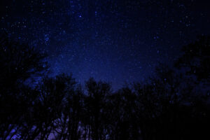 Go Dream HYGGEOPHOLD PÅ MØN- Oplevelsesgaver STAY - Nyd stjernehimlen, freden og den storslåede natur på Møn. Et skønt romantisk ophold for to giver