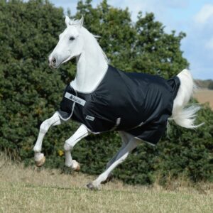 Bucas Jubilæum Turnout Udendørs tæppe 150 g - Sort (135 cm)