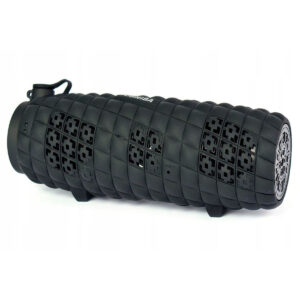 Toshiba Sonic Blast 2 TY-WSP80 Bluetooth Højtaler (Sort)