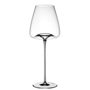 Vision Intense Vinglas 2-pack