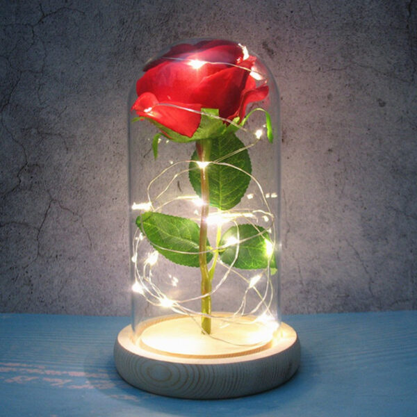 Rose lanterne med LED lys
