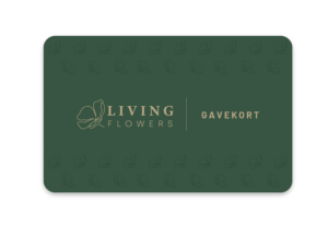 Gavekort Via Email