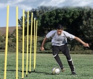 Agility Stænger m. taske - HURTIG LEVERING - 5 stænger i handy bæretaske