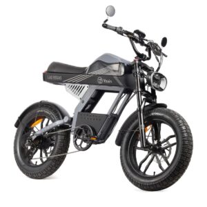Youin BK7100 Las Vegas elcykel 250 W - 20" foldbar bycykel